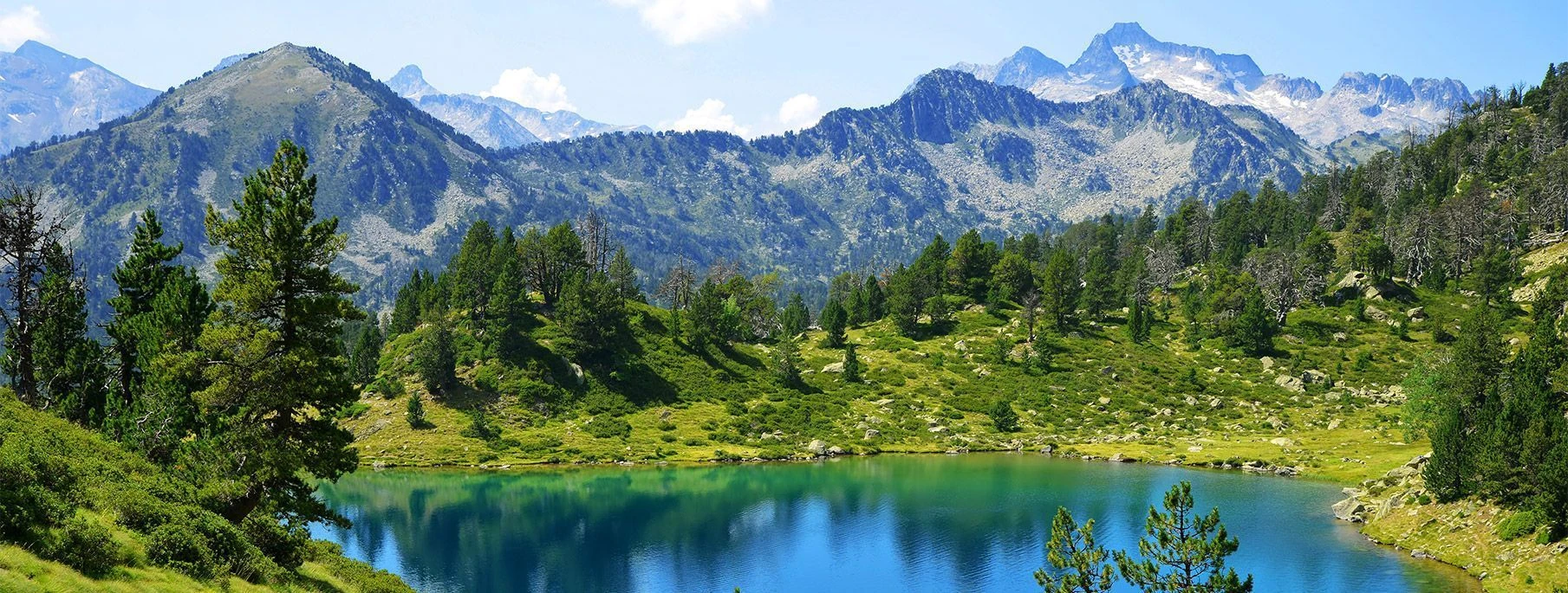 markise für schaukel Ersatz Verandaschaukel-Markise, Ersatz für | – wasserdichte Hängemattenüberdachung Schneiden:XL (Breite 160 cm) DM Samsung and Oculus Introduce