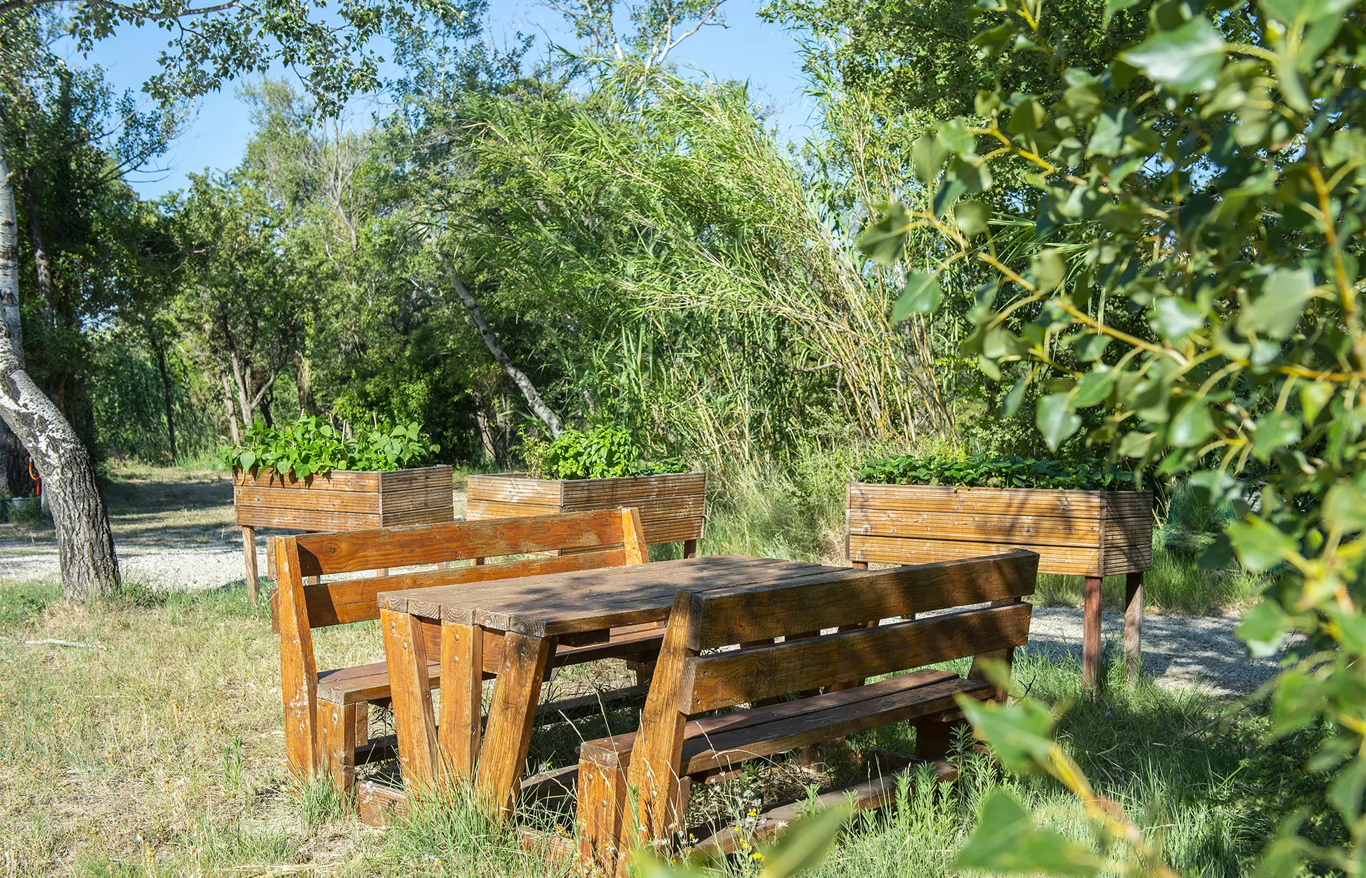 Camping Les Rives de l'Aygues - Service 13